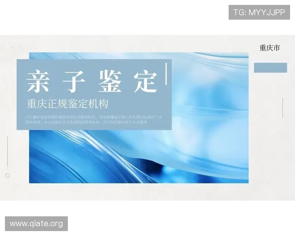 如何在电脑上快速下载安装斗球极速版电脑版，完整步骤与注意事项解析