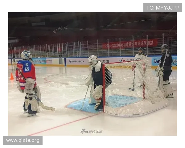 斗球体育直播官网赛事实时比分更新与赛事数据分析助你轻松掌握比赛最新动态