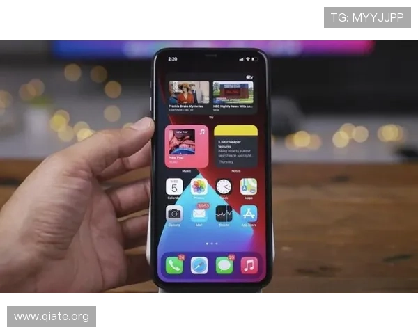 苹果用户必看，斗球iOS免费下载安装完整教程分享
